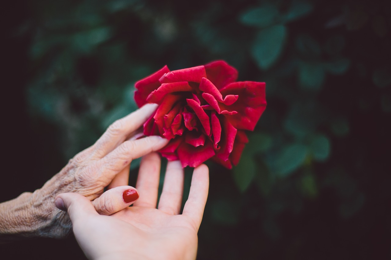 matuzsálemi kor, derűs öregkor, anti aging