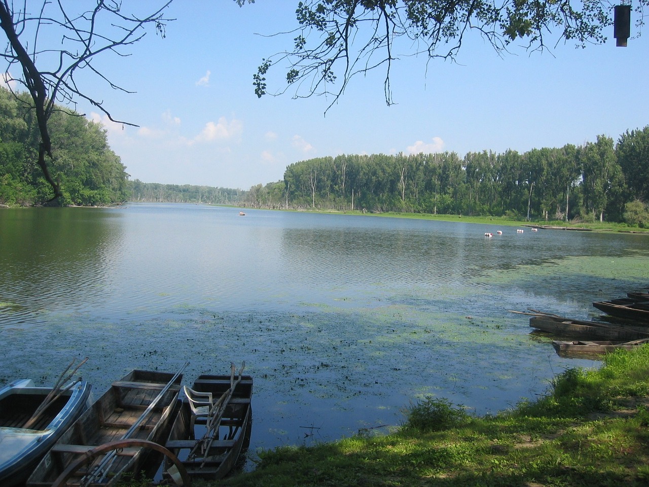 Tisza, Tisza tó, Tisza tavi élmények