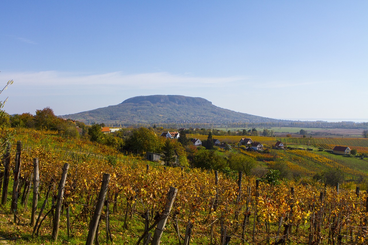 Badacsony, Balaton, borkóstolás, BonVino hotel