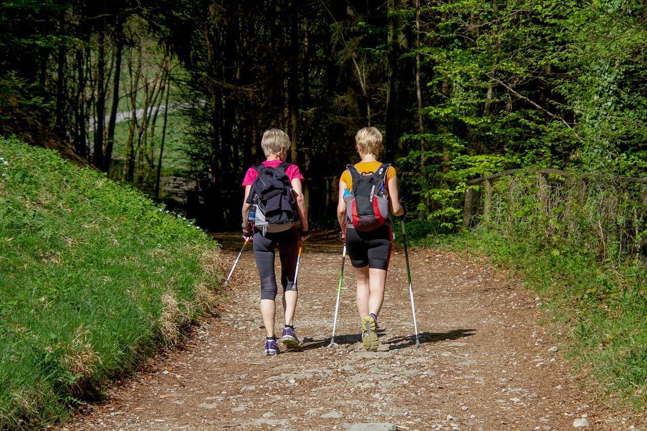 Nordic walking, erdei séta, egészség, sport